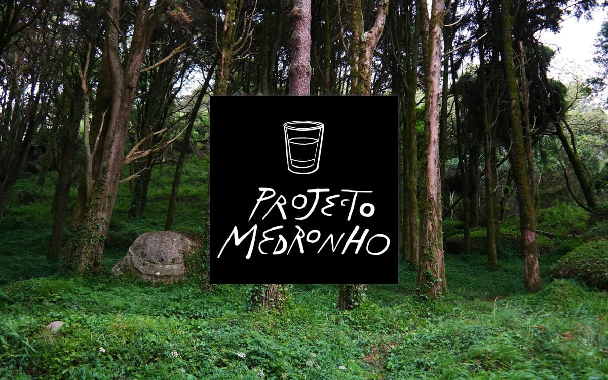 Cover Image for Projecto Medronho: um brinde ao encadene